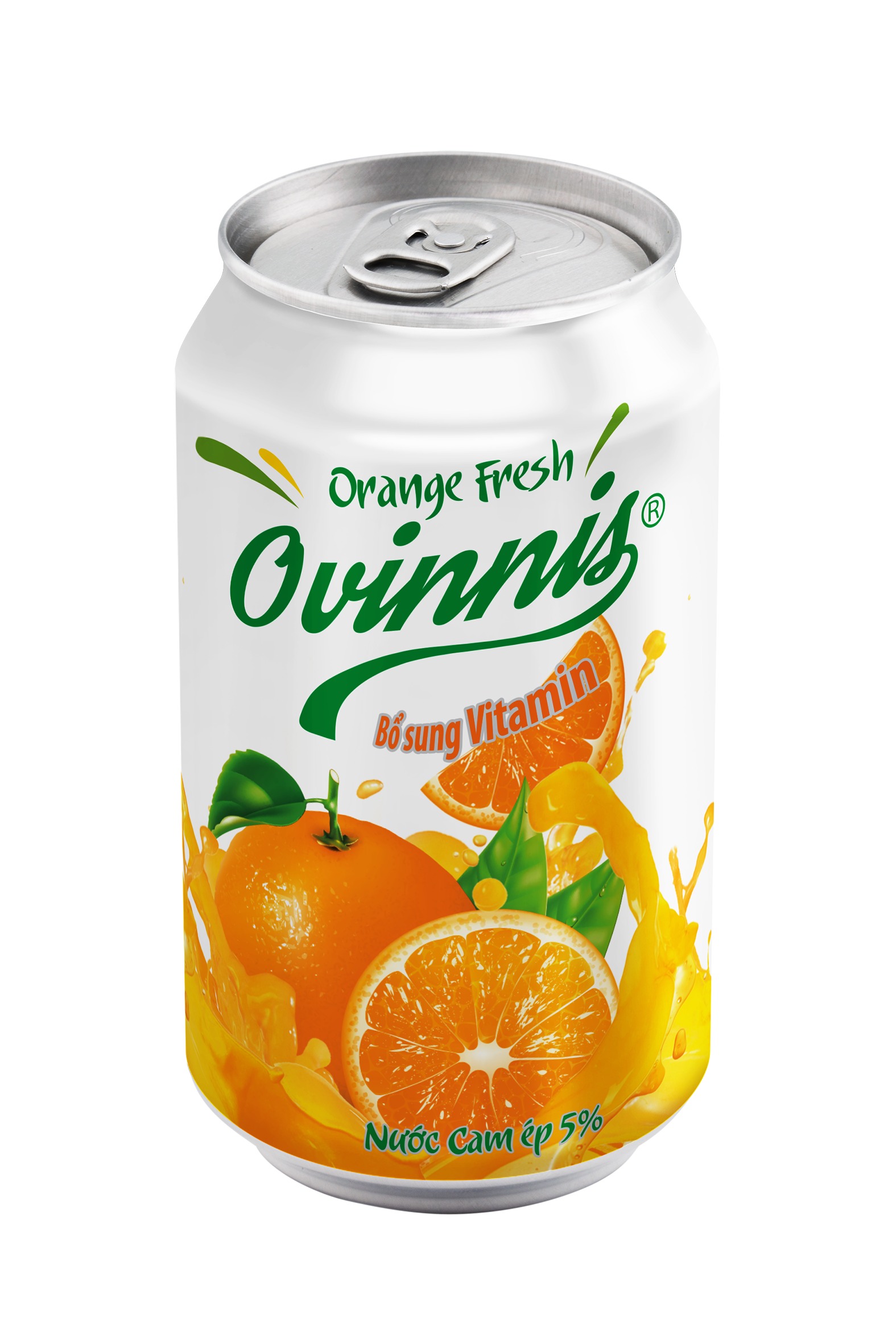 Cam-Ovinnis-3D-dam